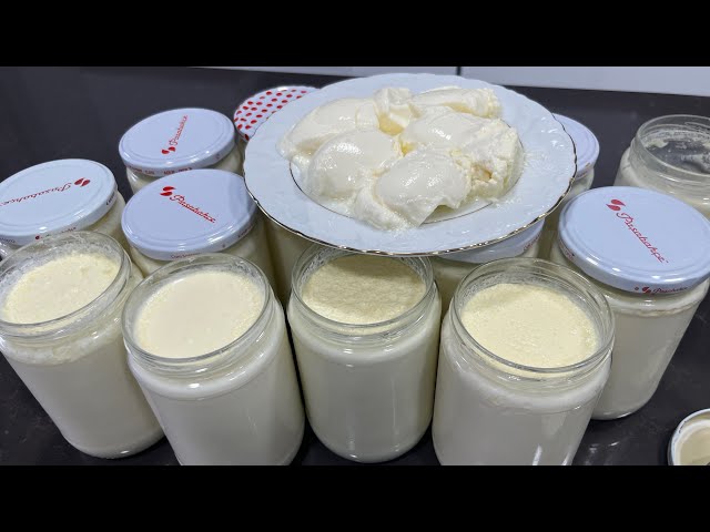 ATTENTION❗ The Secret of STONE YOGURT That Does Not Spoil for Months ❗ Yogurt Recipe