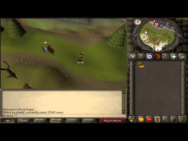 2007Scape | [1] Making money & Training Spots