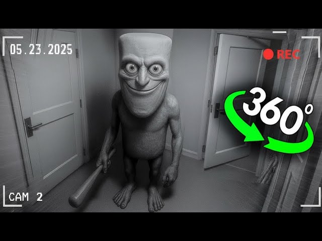 Tun Tun Sagur Breaks In! Watch the 360° -  Security Camera Video