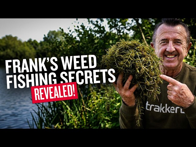 The RIGHT Way to Fish Weedy Carp Lakes | Frank Warwick