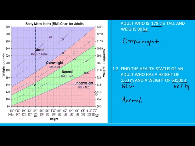Grade 11- 12 Mathslit: BMI (P2)