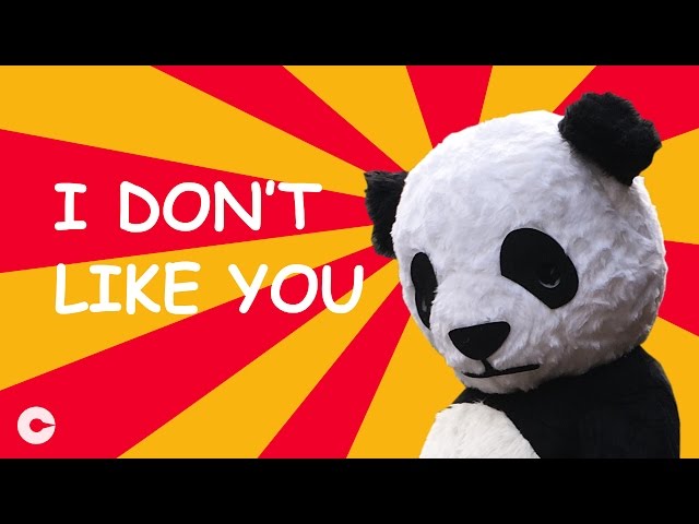 Watch this grumpy Panda trolling a family in Moganshan! | A 360 VR Comedy