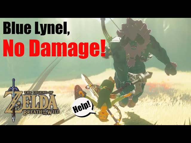Breath of the Wild, Blue Lynel, No damage #botw #zeldagameplay #breathofthewildgameplay