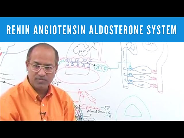Renin Angiotensin Aldosterone System | RAAS👨‍⚕️