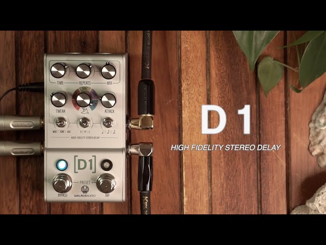 My UPGRADED Walrus Audio D1 V2 Delay PRESETS, and New STEREO FEATURES