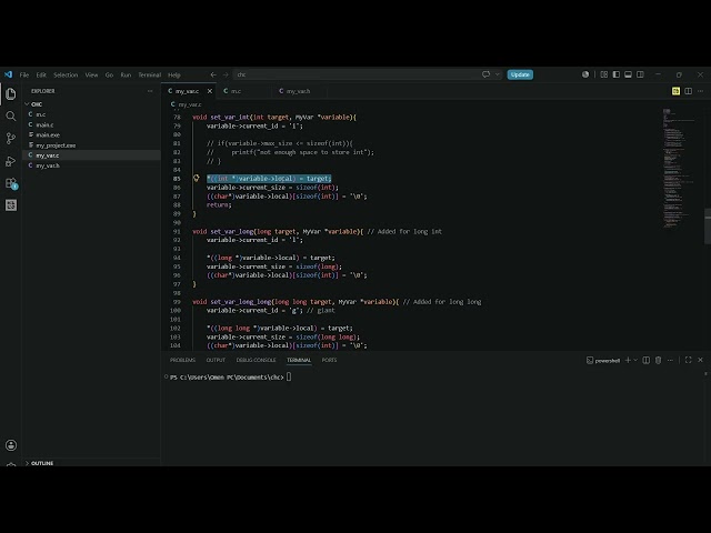 Flexible variable in c