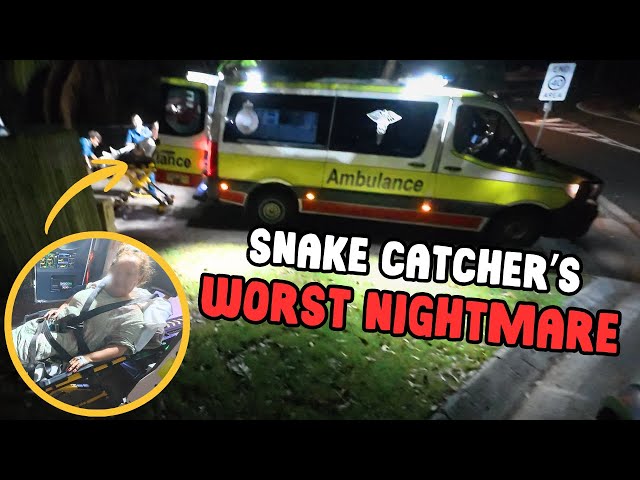 How to Survive a SNAKE BITE In Australia