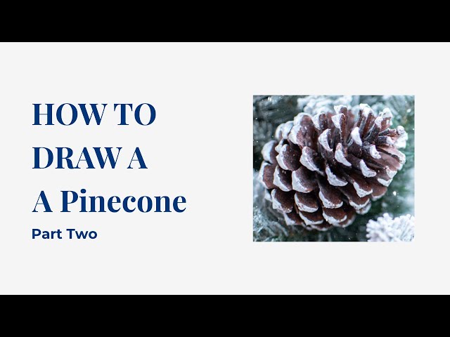 Pinecone Tutorial - Part 2