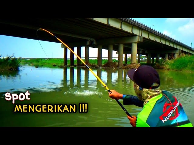 Prepare strong equipment for fishing for super big tilapia in this river #hp -195
