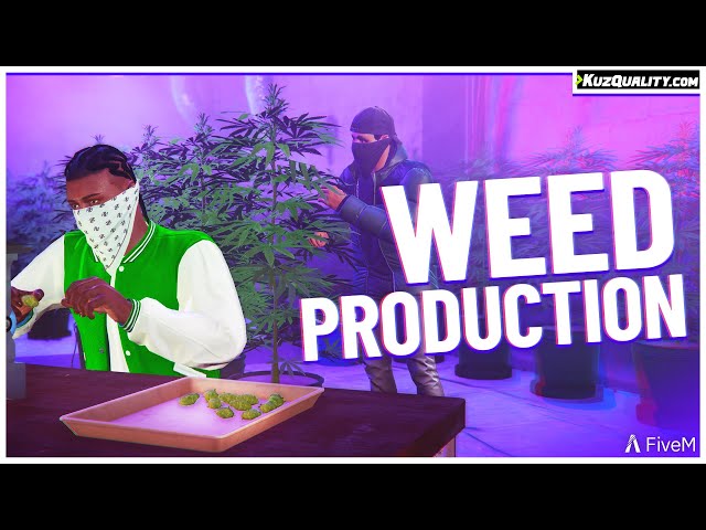 Weed Production | FiveM Script [ESX, QBCore, QBox] | KuzQuality
