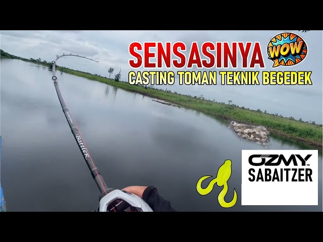 MANTAPZZ ‼️ CASTING TOMAN ‼️DENGAN CARA BEGEDEK PUNYA SENSASI TERSENDIRI | SHIMAO SCORPION DC 151 XG
