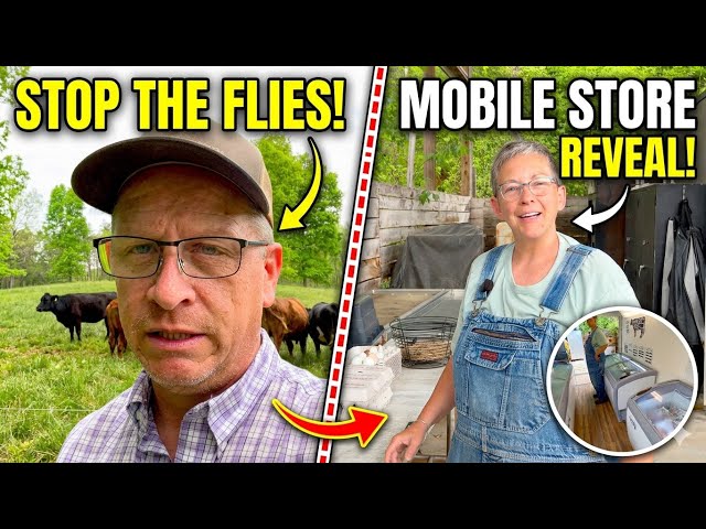 The Honest Truth About Running a Small Farm (It’s Constant Problem Solving)