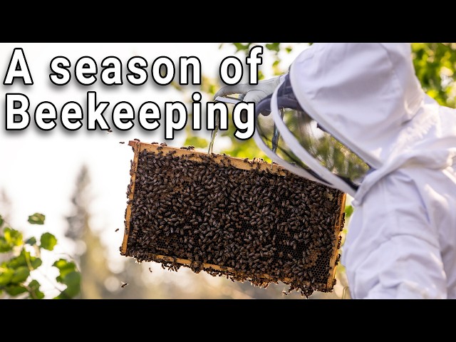 A Season of Beekeeping - Day in the life of a beekeeper - Part 1