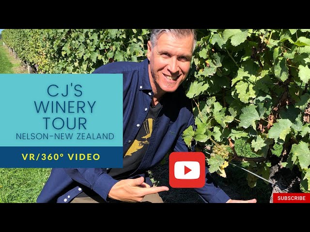 New Zealand Wine Regions - Guided Nelson Tasman Tasting Tour