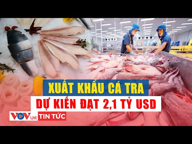 Pangasius exports in 2025: Expected to reach US$2.1 billion | VOV Live