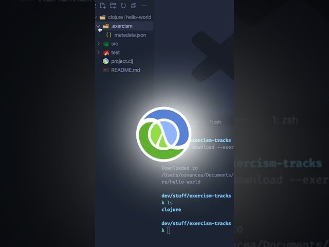 Los 5 Lenguajes de programación más queridos