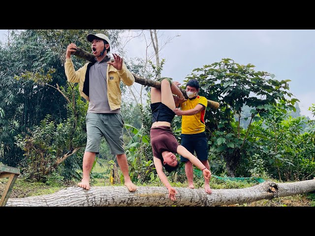 Agricultural vehicle transporting wood; a girl single-handedly felling a giant tree.