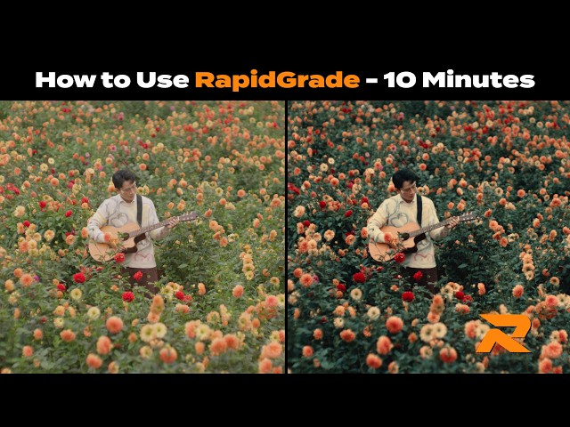 How to Use RapidGrade in DaVinci Resolve 21 (under 10 Minutes)