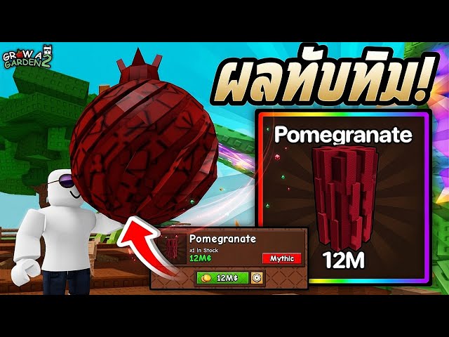 Let's Grow Pomegranates! Grow a Garden 2 | Plus Checking Out New Updates