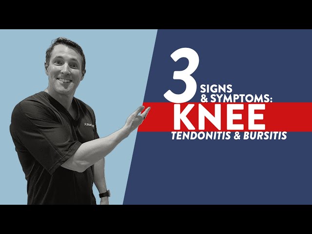 What are three signs and symptoms of knee tendonitis and bursitis?