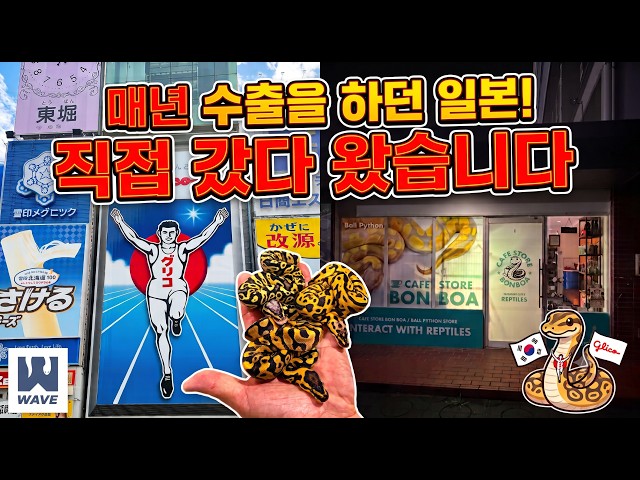 드디어 만났습니다.. WAVE X JAPAN 첫 미팅🇰🇷🤝🇯🇵