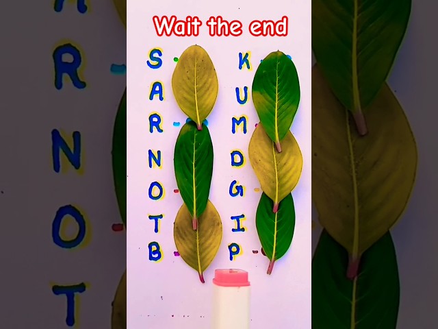 Select your class😂 #shorts #shortvideo #shortsfeed #trending #reels #ytshorts #viral #art #ytshort