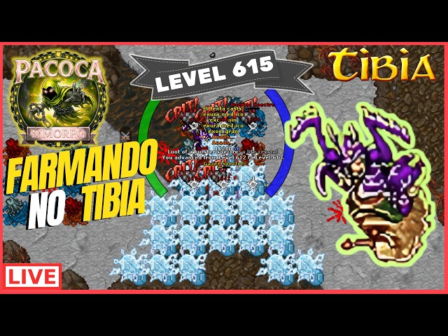 🔴EK SOLO FARMANDO NO TIBIA LEVEL 615 - DIA 17/08/2026 🔴