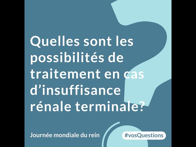 Quelles sont les possibilités de traitement en cas d'insuffisance rénale terminale ?