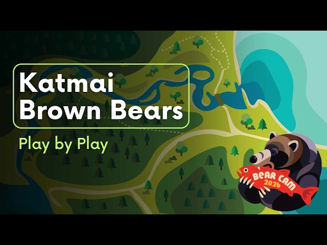 Play by Play 8.20.26 | Brooks Live Chat