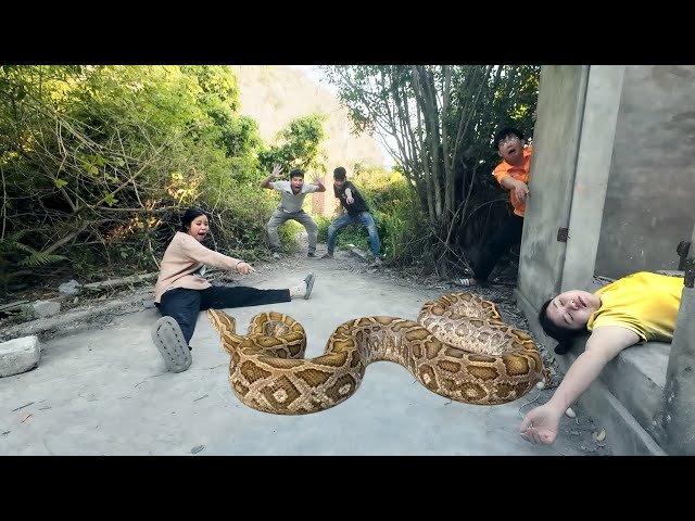 Brave Hunters Save a Young Woman from a Giant Anaconda in an Abandoned House