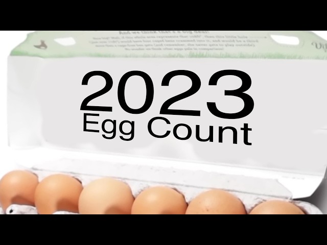 HowToBasic 2023 EGG COUNT