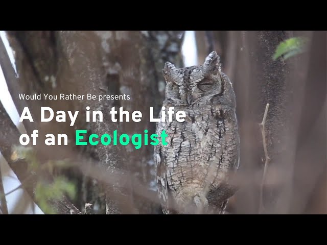 A Day in the Life of an Ecologist | Would You Rather Be