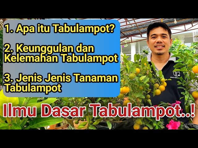 Essential Guide to Tabulampot: Benefits, Best Fruit Trees, and Container Gardening Tips