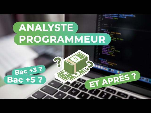 ANALYSTE PROGRAMMEUR - Présentation métier