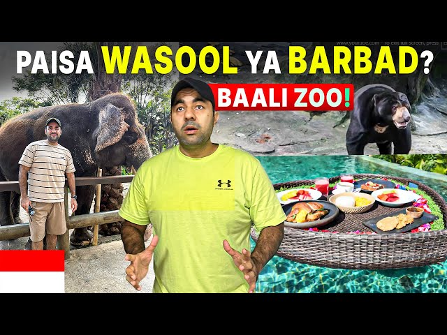 Bali Zoo | Complete tour &  Price Breakdown