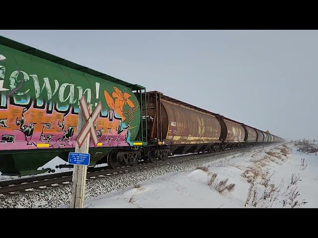 VERY FAST!! CN Grain train East near Viking, Alberta @ mile 188.26 on Wainwright Sub Dec. 19, 2022