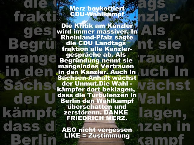 Merz boykottiert CDU-Wahlkampf #politik #afd , #shorts , #shortvideo, #foryou, #fyp ,#short