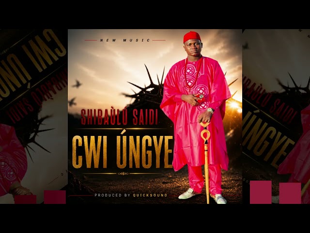 Shibaúlú Said   Cwi Úngye   Audio Visualisation