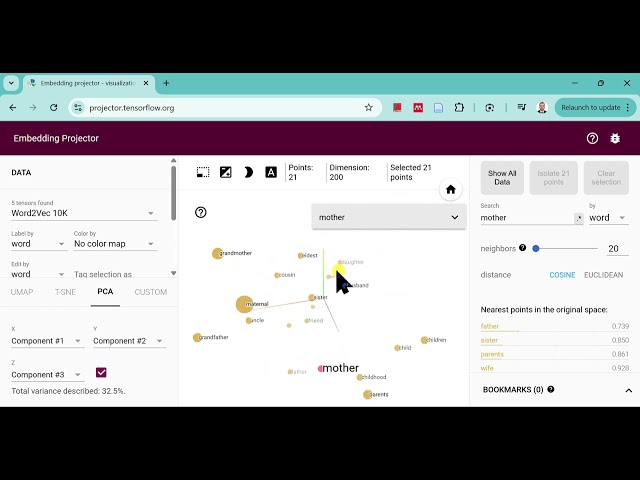 Large Language Model (LLM) Demo on Tensorflow Projector - words embedded in high-dimensional space