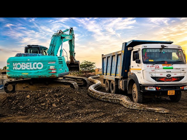 Big Python Snake in Excavator Loading truck mud / Komatsu Excavator PC450CC mod 