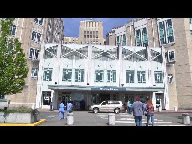 Healing Art at Harborview