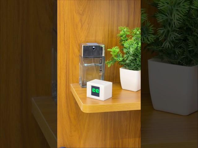 How to Build a Desk Buddy Pet Robot