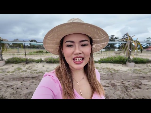 STRAWBERRY PICKING DAY