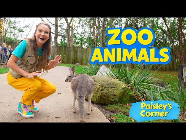 Silly Miss Lily visits Nashville Zoo to Learn about Zoo Animals | Toddler Learning | Videos for Kids