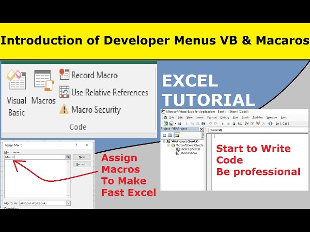 Introduction to Developer Menu, VBA, and Macros for Advanced Excel