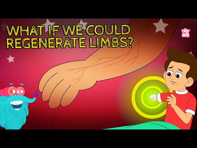 Regeneration Superpower | What If Humans Could Regenerate Limbs? 🦎 | Limb Regeneration Explained