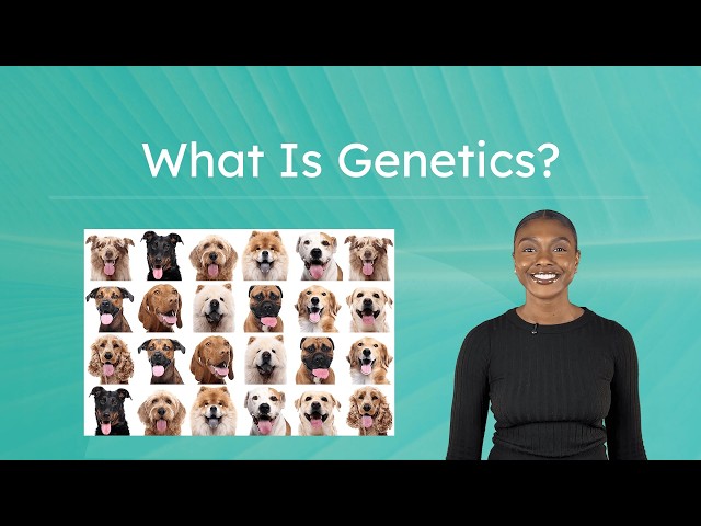 What Is Genetics? - DNA, Genes, and Inheritance Explained