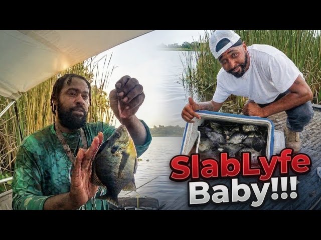 BIG BLUEGILL & SHELLCRACKER FISHING at JIGGS LANDING NATURE PRESERVE #bluegill #fishing #nature 
