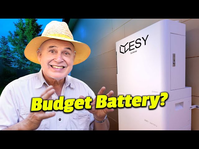Why I Broke My Golden Rule: Installing a Budget Battery
