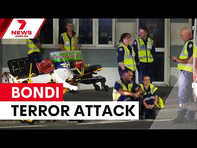 Special coverage of the terror attack at Bondi Beach Hanukkah celebration | 7NEWS